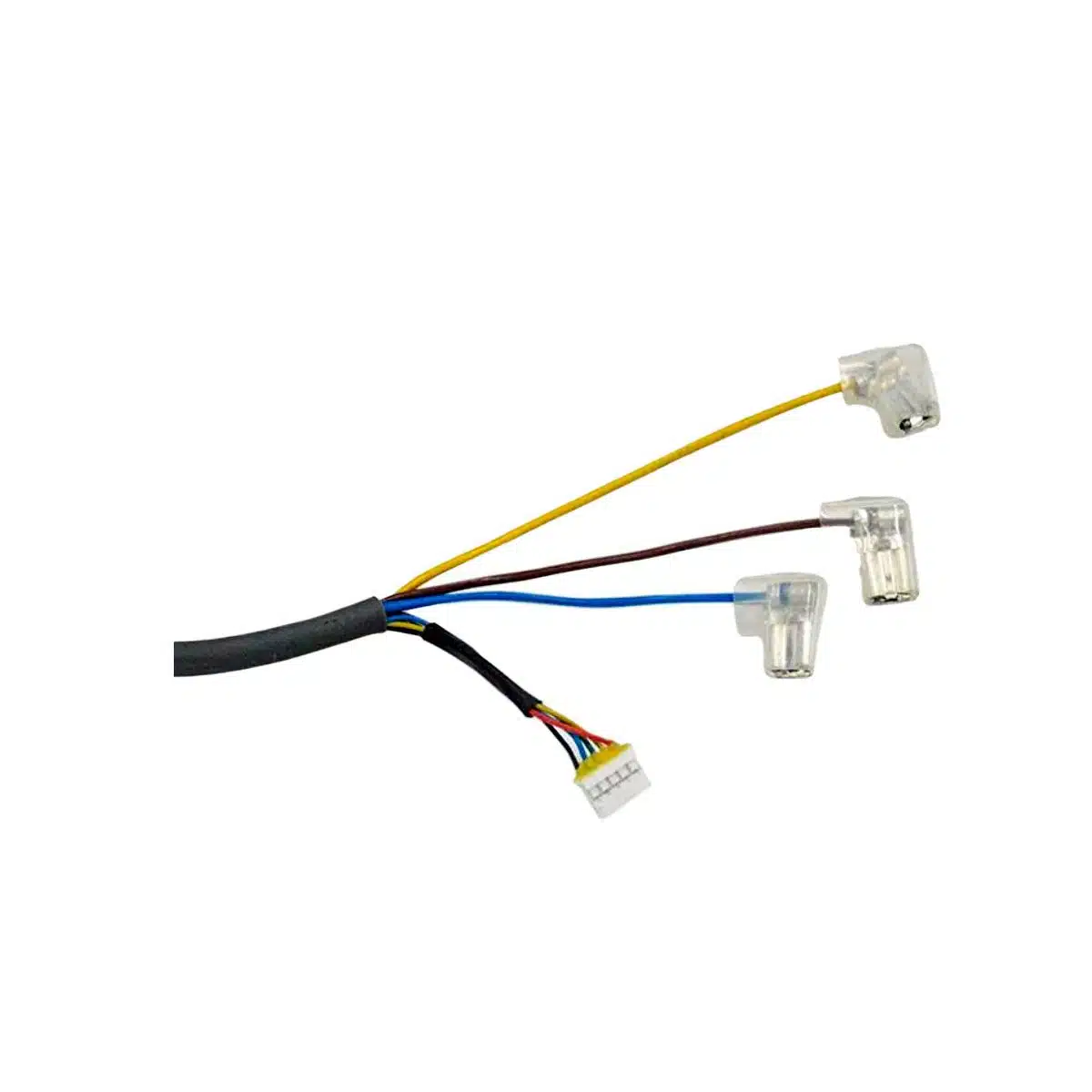 Motor 300W Xiaomi M365