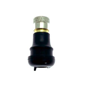 Valvula Tubeless