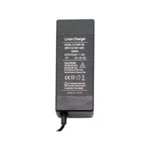 Cargador 5 Conectores 42V 2A