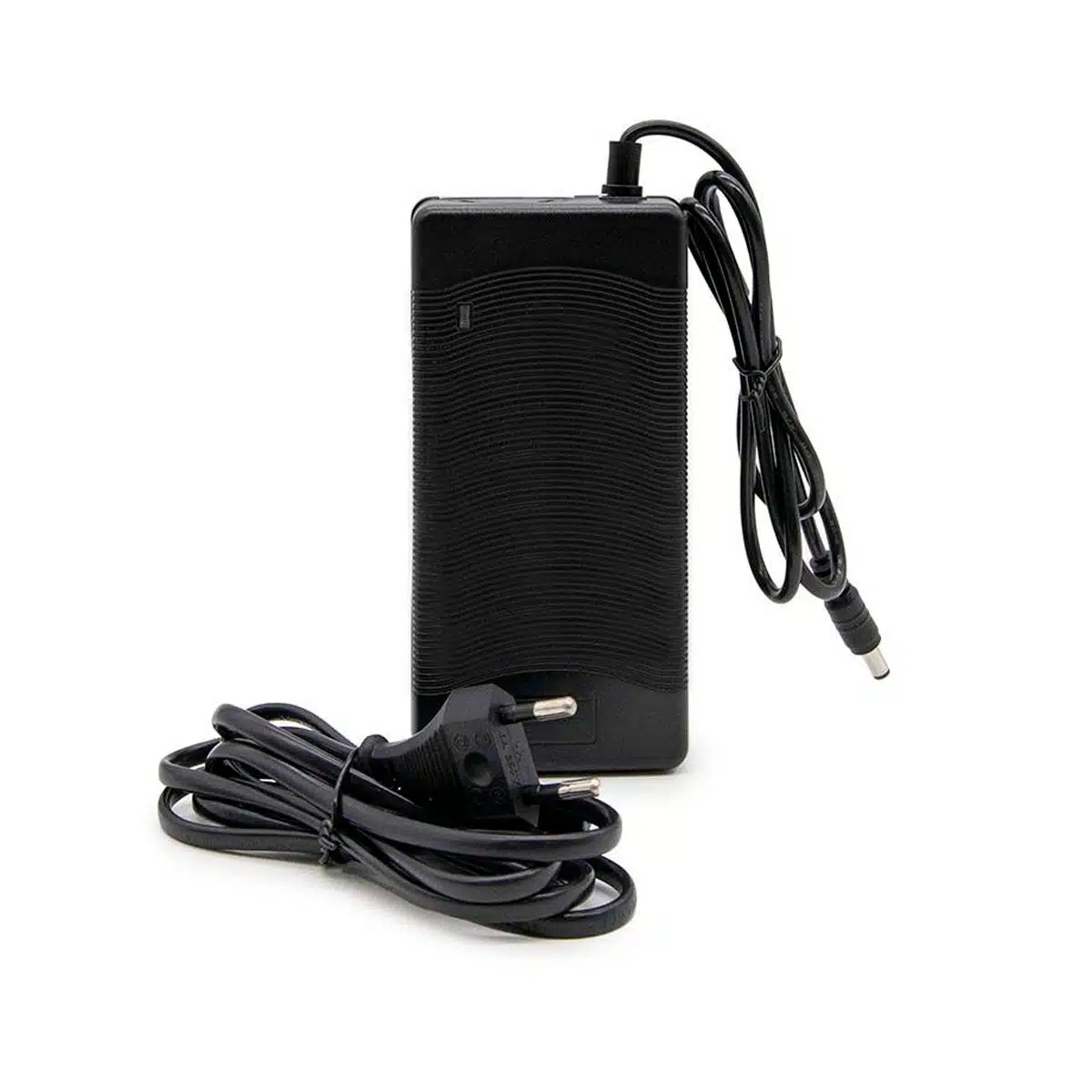 Cargador 48V 3A DC