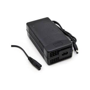 Cargador 48V 3A DC