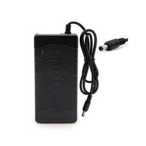 Cargador 48V 3A DC