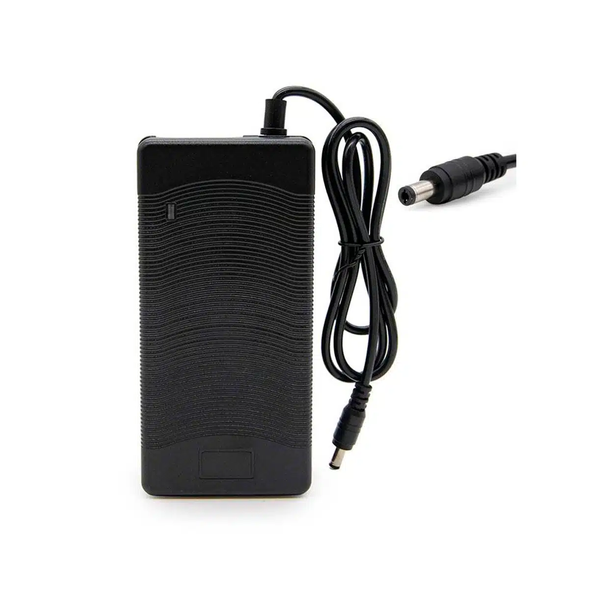 Cargador 48V 3A DC