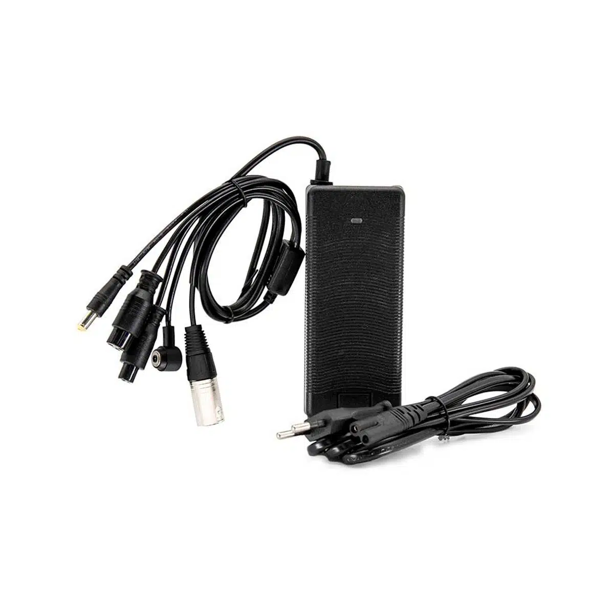 Cargador 5 Conectores 48V 2A
