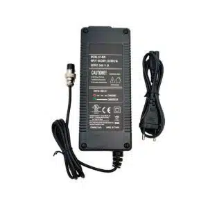 Cargador Premium 48V 2A GX16
